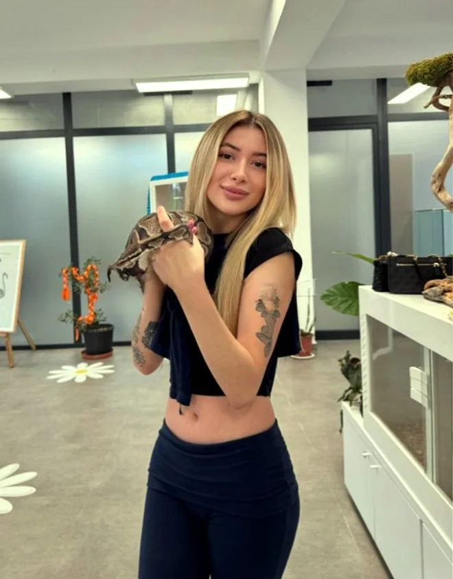Lisamola