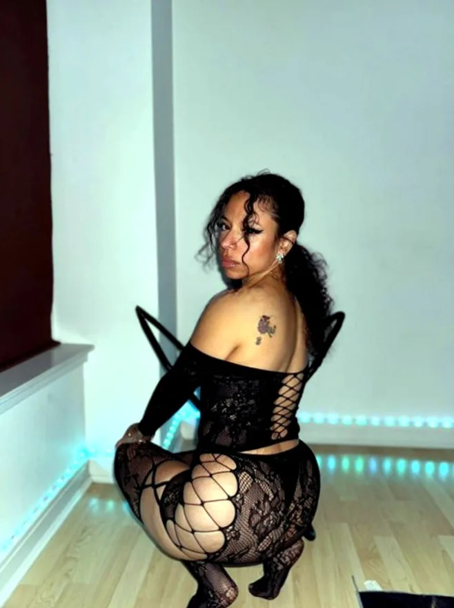 Piper